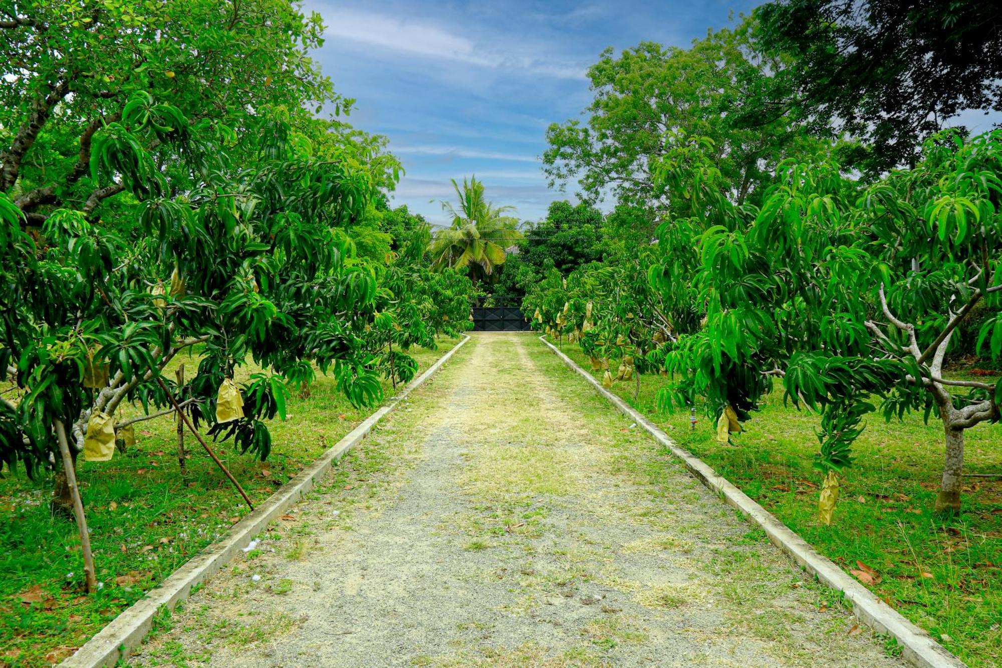 Serenity Villa Anuradhapura Eksteriør bilde